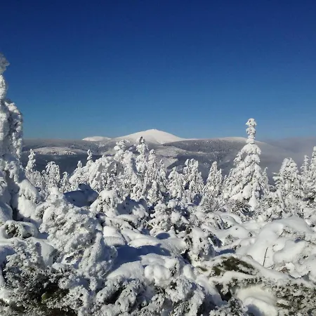 Modry Pavilon Guest house